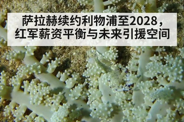 萨拉赫续约利物浦至2028，红军薪资平衡与未来引援空间