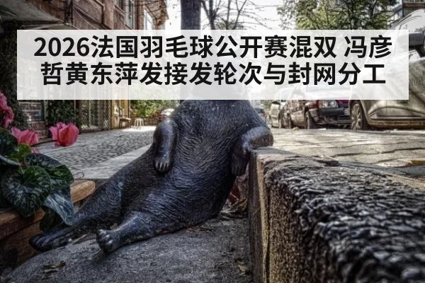 2026法国羽毛球公开赛混双 冯彦哲黄东萍发接发轮次与封网分工